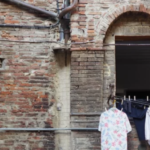 The State of Desire: Religion and Reproductive Politics in the Promised Land