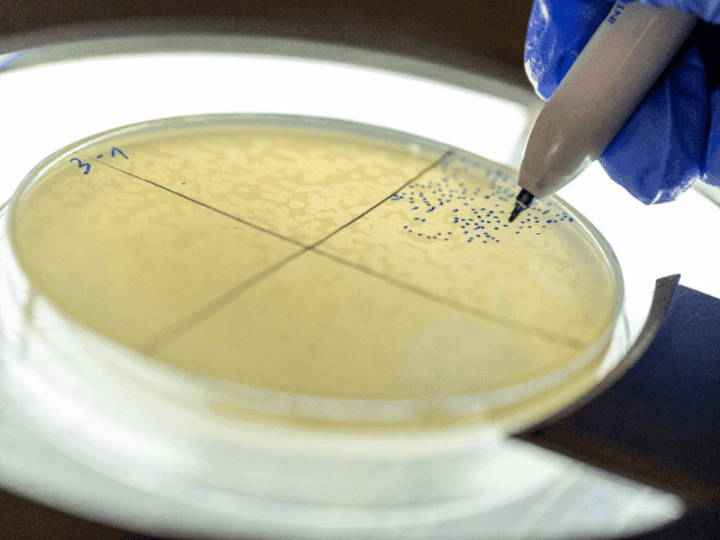 Tiny Viral Switch Offers Hope Against Drug-Resistant Bacteria