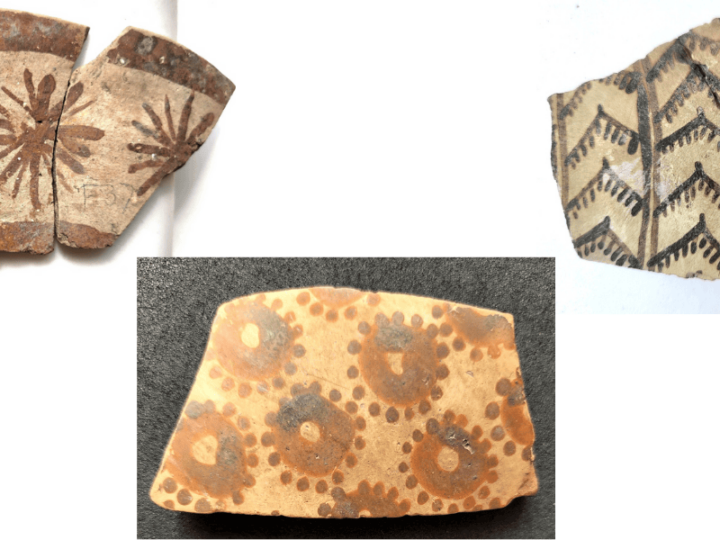 World’s Earliest Botanical Art Discovered and Evidence of Prehistoric Mathematical Thinking