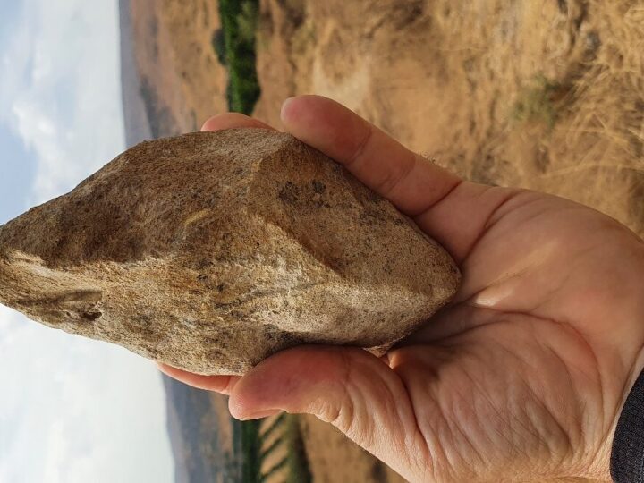 Evidence at the Archaeological site ‘Ubeidiya in the Jordan Valley Pushes Back Human Presence in the Region by Hundreds of Thousands of Years