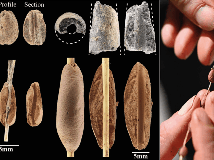 Long Before Pottery or Farming, Hunter-Gatherer Children were Molding Clay