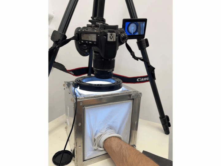 Millennia-old mystery solved: How the camphor tree repels mosquitoes and why cannabis essential oils helped scientists find the key