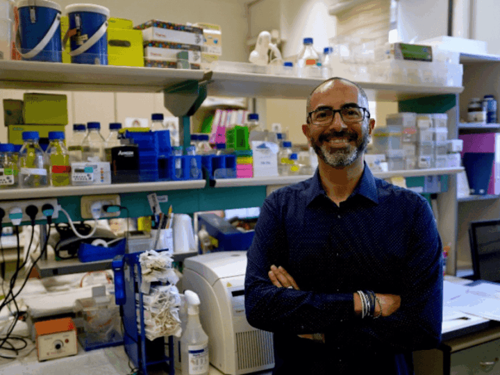 Cannabis Compounds Show Promise in Fighting Fatty Liver Disease