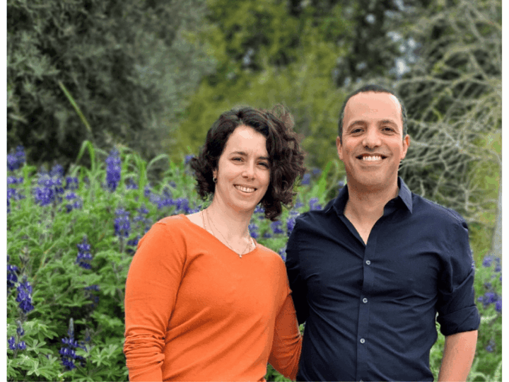 How an Overactive Immune Alarm Accelerates Rapid Ageing