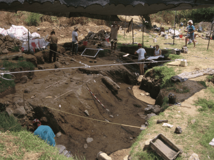 Location, Location, Firewood