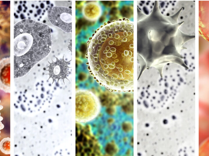 Bacteria deploy molecular “gatekeepers” to control the spread of shared DNA