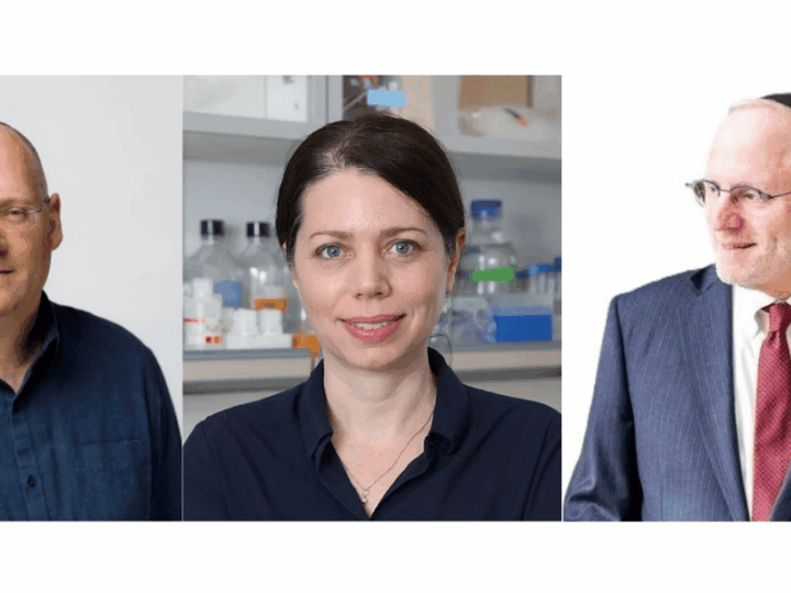 From Jerusalem to the Clinic: A Promising New Therapy for Liver Cancer