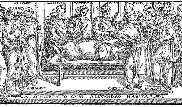 Watch the Webinar: A visual trip into ancient anatomy