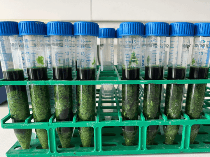 How Pollution From Car Tires Can Reach Our Food