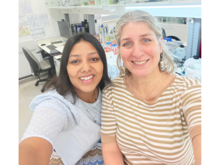 Hidden Cell Network Offers New Clues to Intestinal Healing and Disease