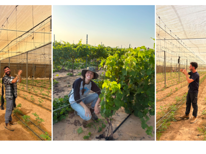 Learning, Volunteering and Rebuilding: A Unique Hebrew University Summer Course at Kibbutz Sufa