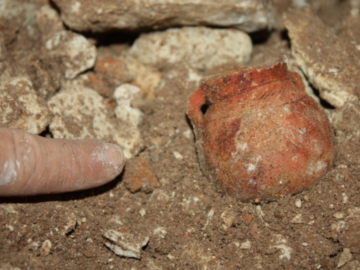 Did Wildfires Help Spark the Invention of Pottery?